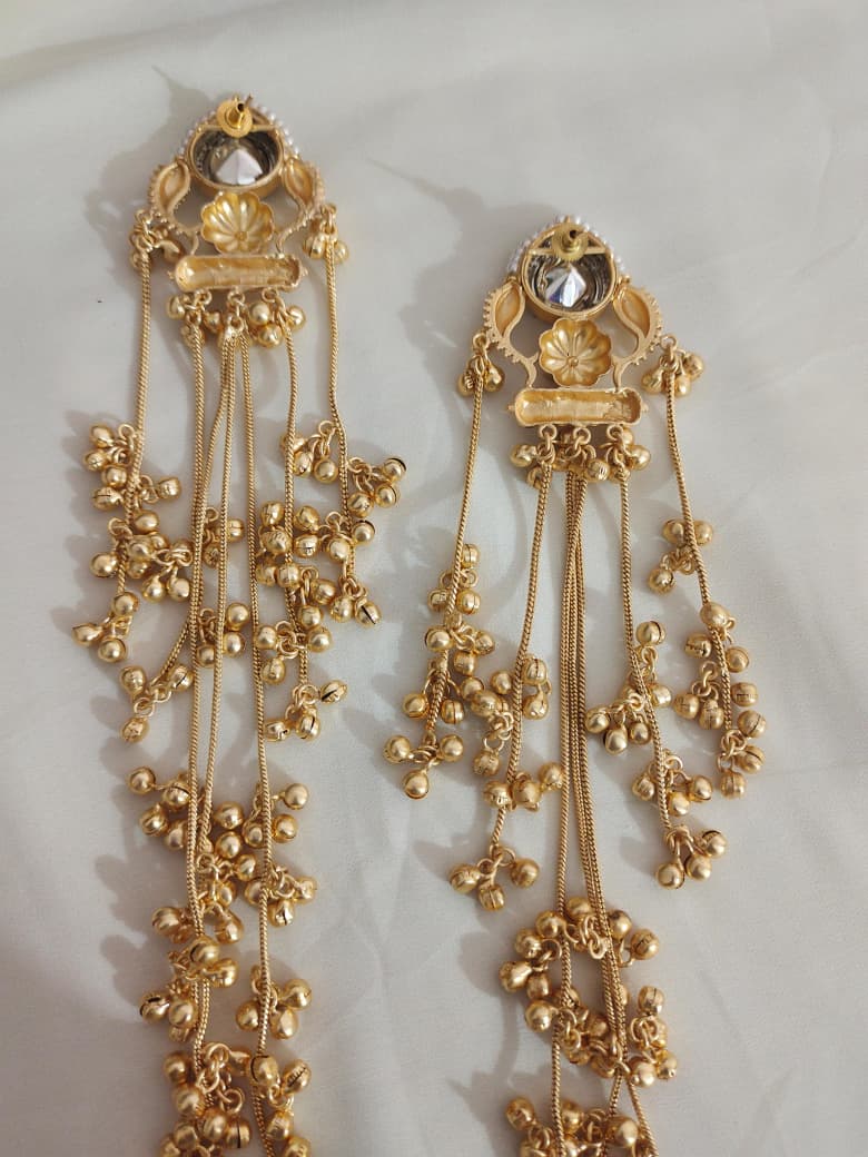 Earrings
