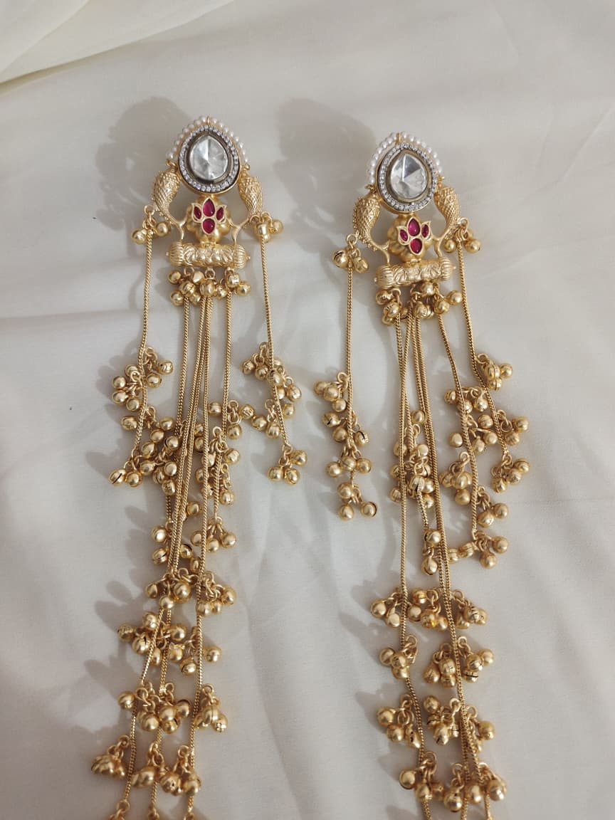 Earrings